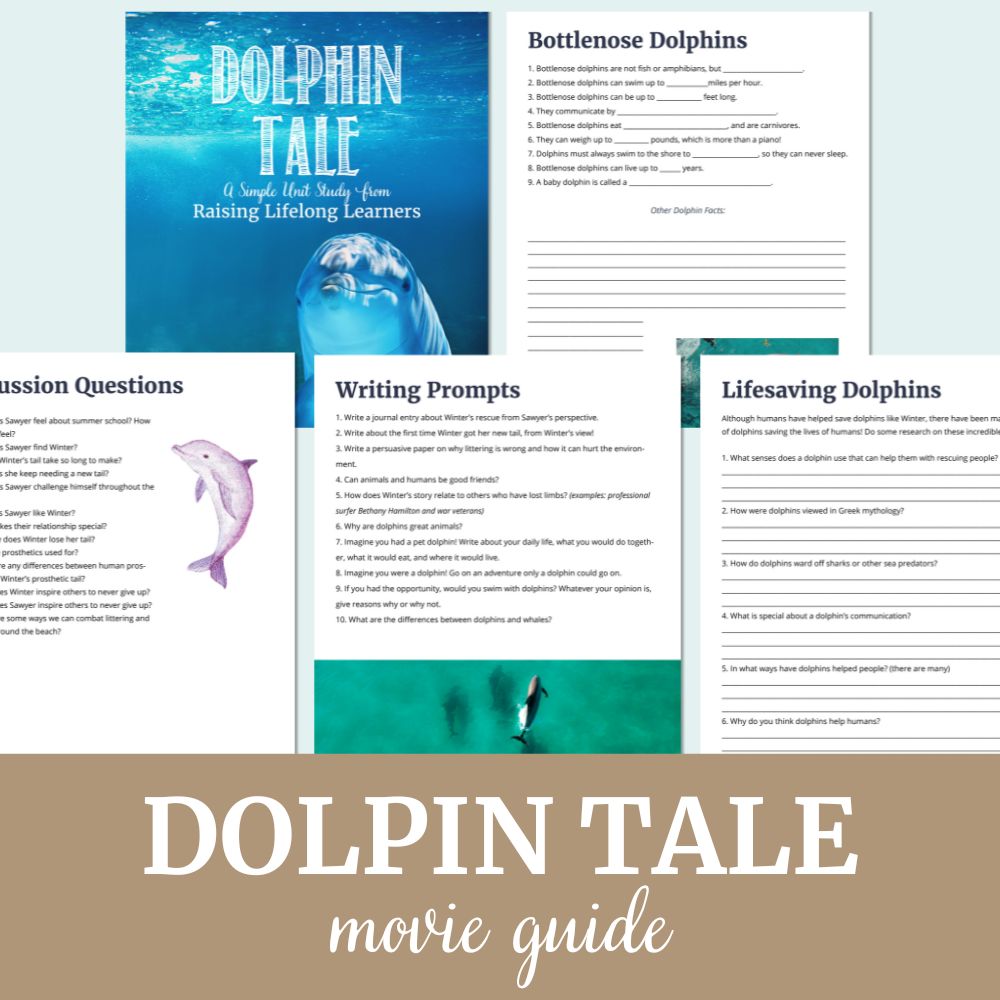 Dolphin Tale Movie Study