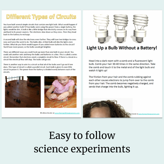 Science for Smart Kids: Electricity and Magnetism eBook